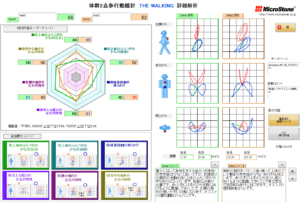 体幹2点歩行動揺計 THE WALKING コメント版 MVP-WS2-S-EIC