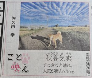 秋高気爽の朝に乗せて（2025年10月）