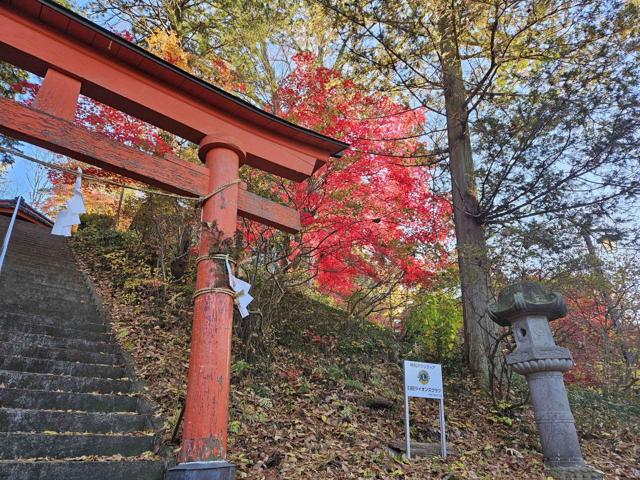 佐久市勝間、稲荷山公園（2025年11月）