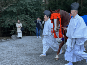 伝統の社にて、飛躍を祈る（2026年1月）