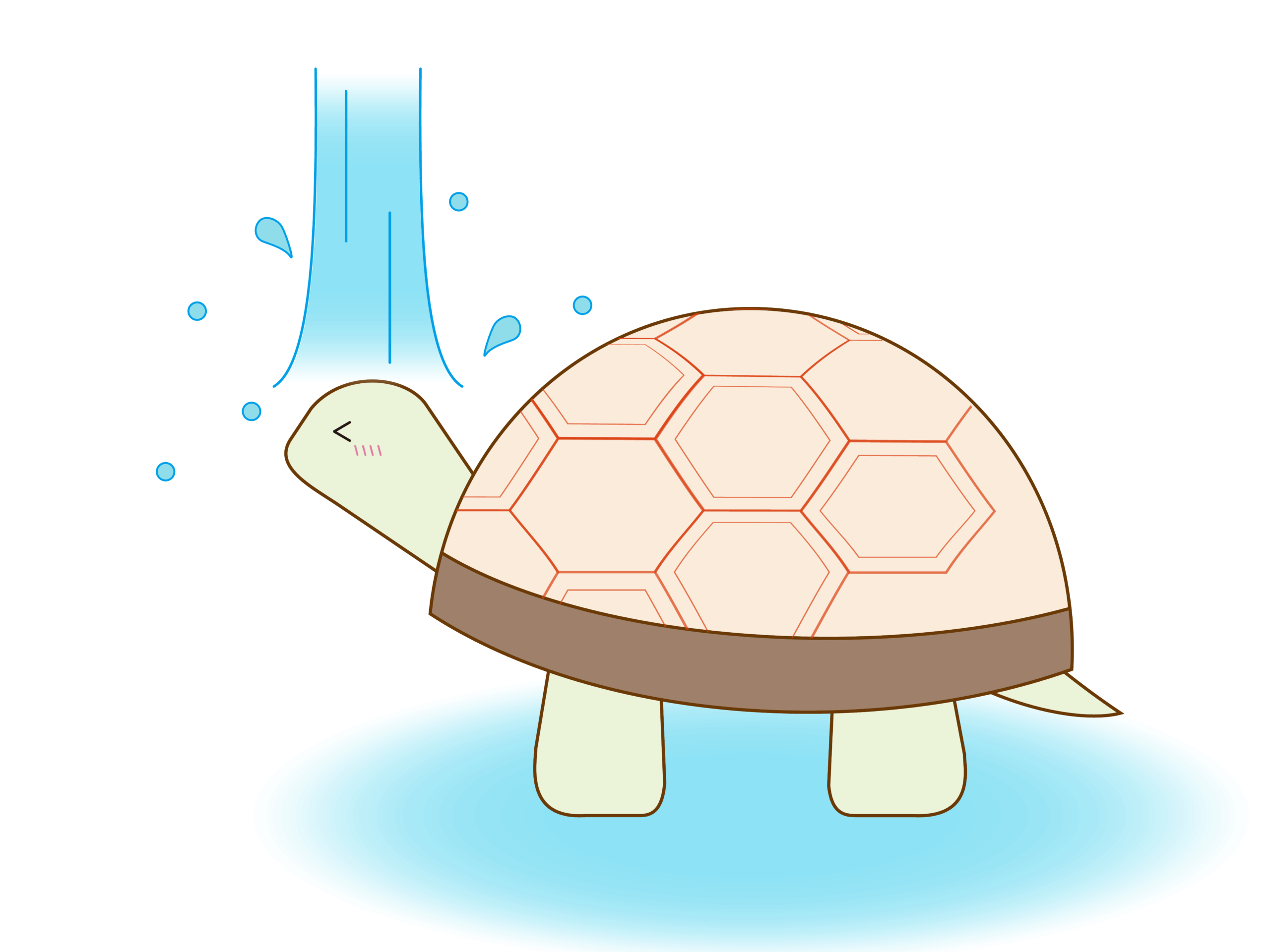 『KAMEさん』は防水