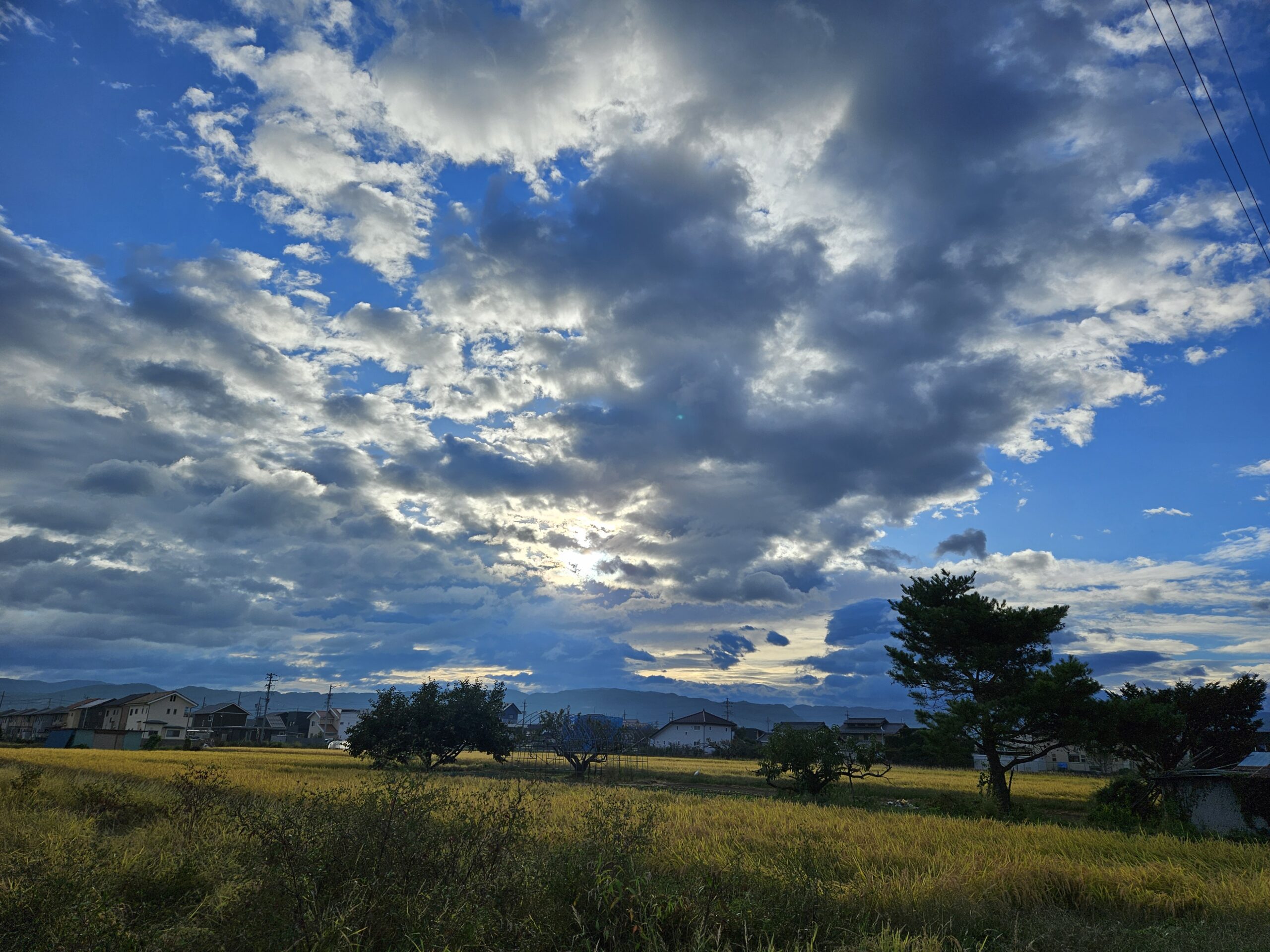 朝日と稲穂_9月（2025年12月）