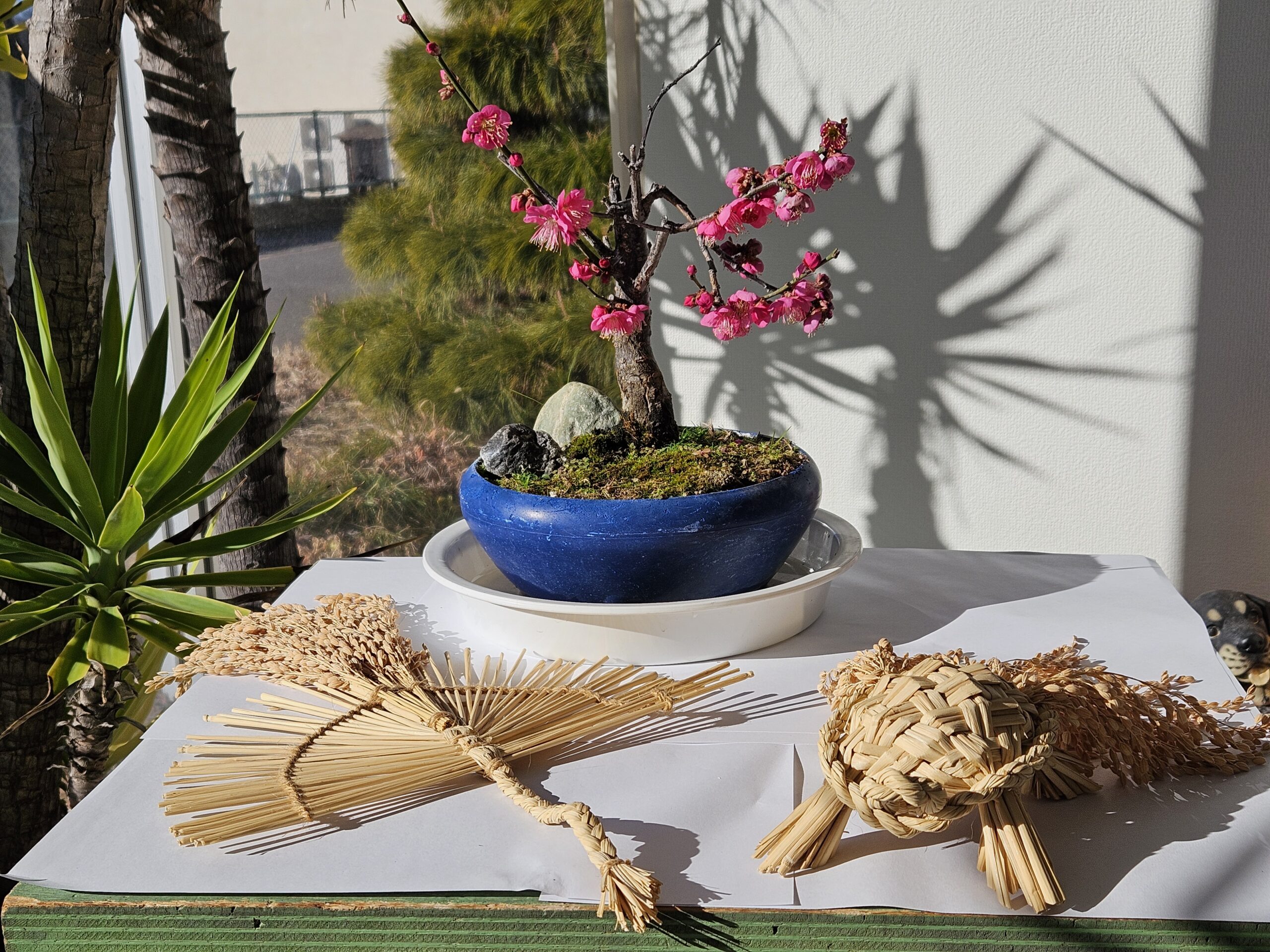 縁起物の藁細工との一枚（2026年1月）