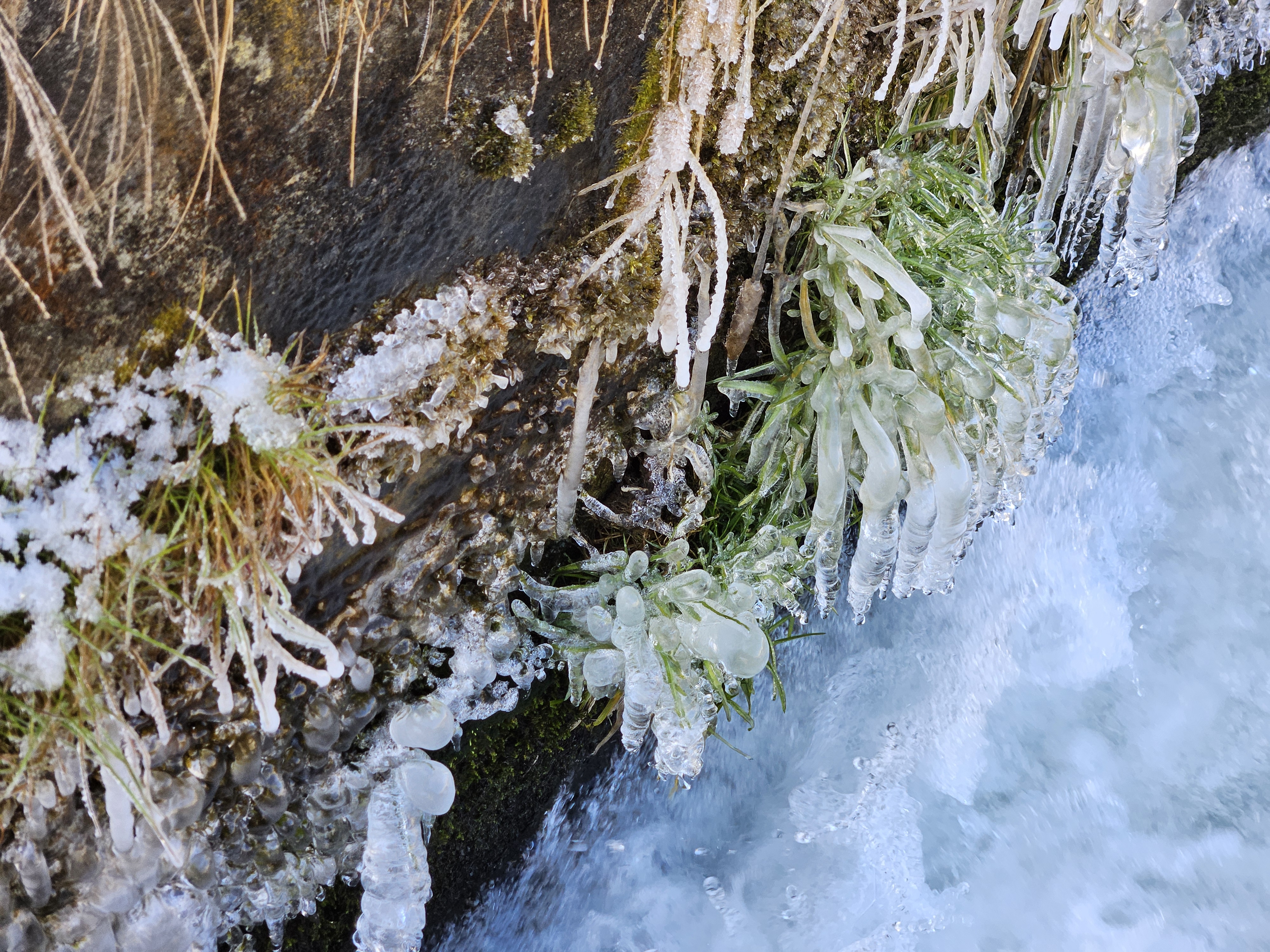 水面と氷柱（2026年2月）