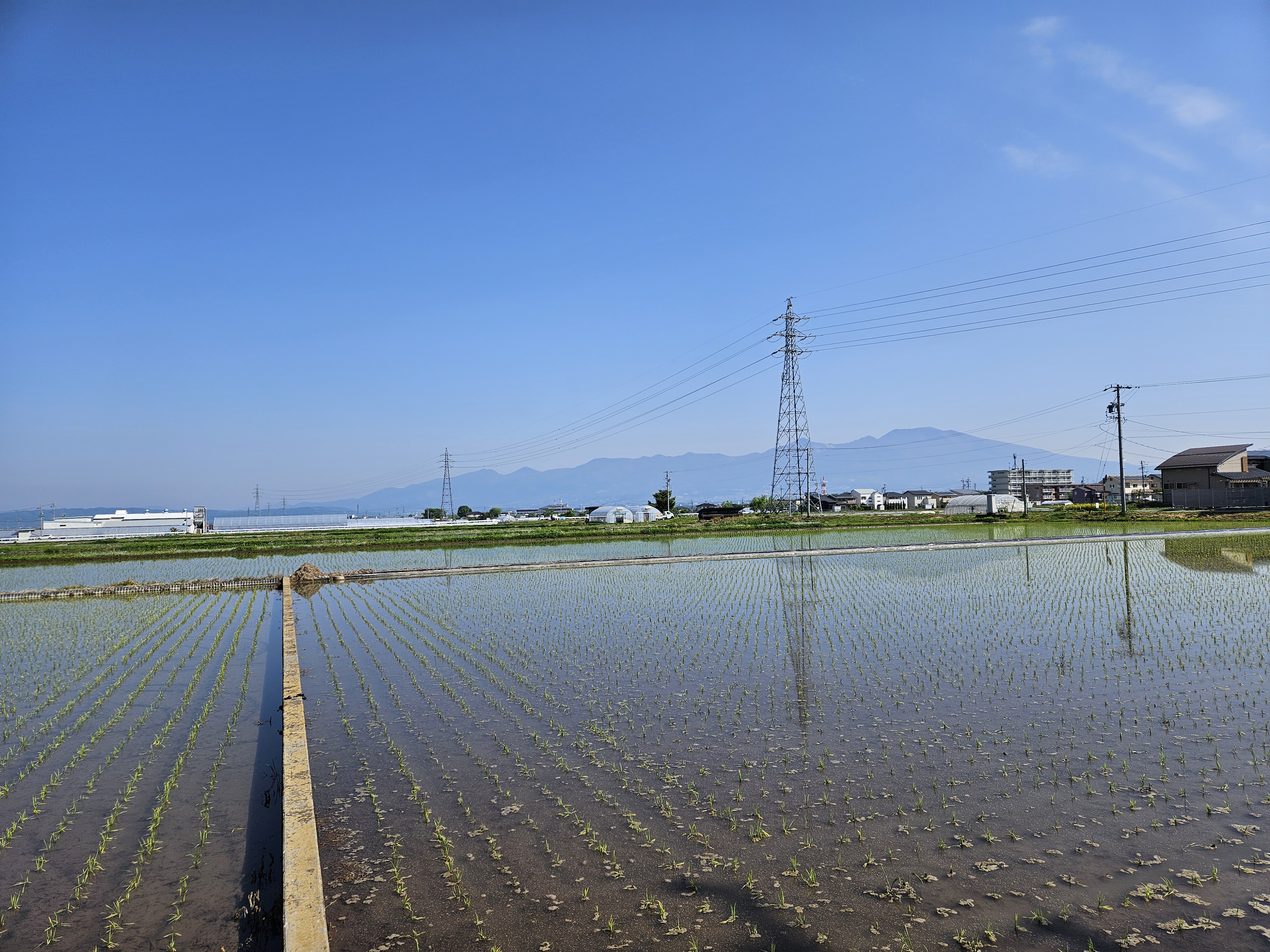 空を抱く田んぼ（2026年5月）